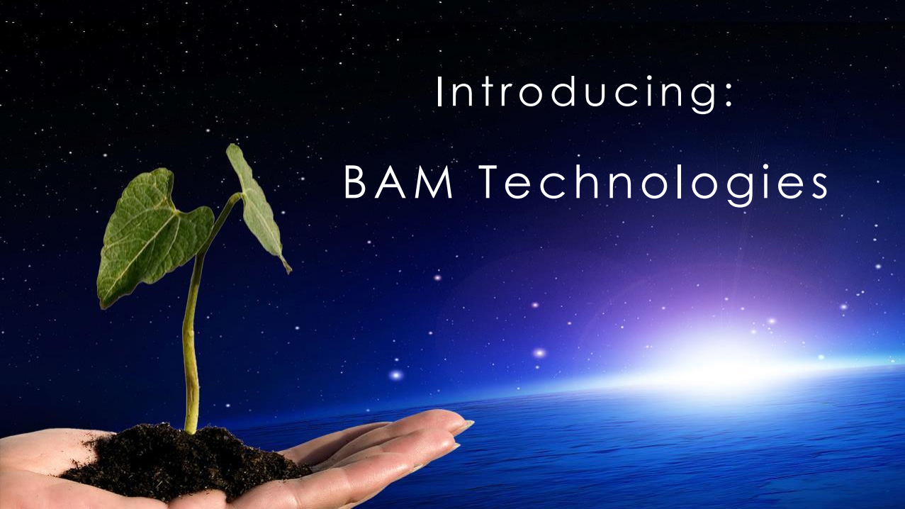 Science of BAM-FX, BAM-FX Science, Science, BAM Technologies, BAM-FX Technology